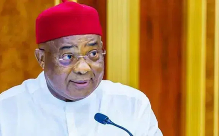 Industrialist urges Uzodimma to intervene in factory fence demolition
