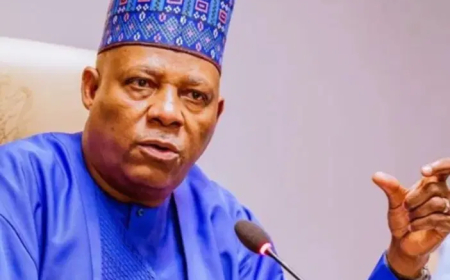 GDP rebasing: Shettima worried over information gap between NBS, states