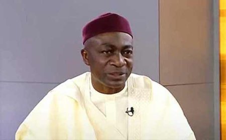 This is skit making, Senate spokesman slams Natasha’s return