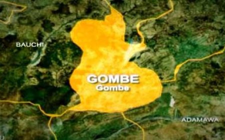 Gombe motorcyclists accuse police of extortion