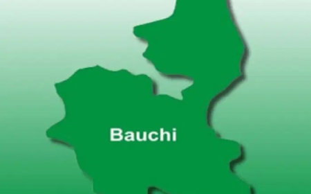 Bauchi Govt demotes school principal, 1 other for gross misconduct