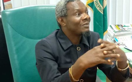 Upgrade correctional centres’ infrastructure, Reps C’ttee tells FG