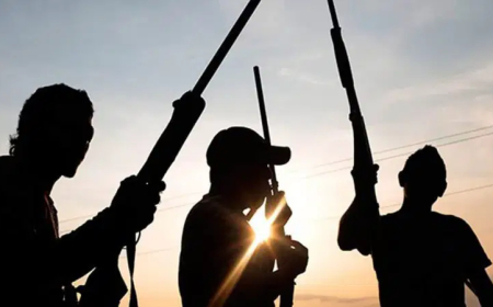 Many feared dead as gunmen attack Imo villages