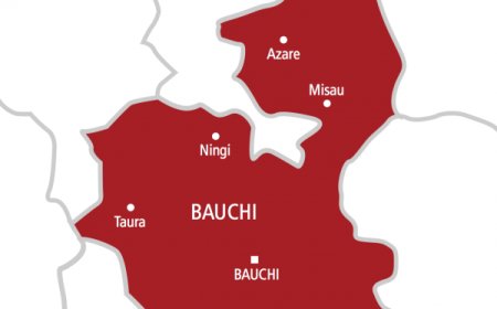 Police arrest man for motorcycle theft in Bauchi