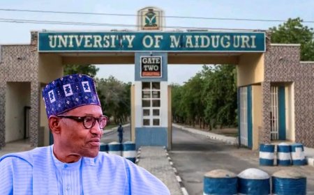 ASUU to sue FG over UNIMAID renaming after Buhari