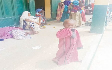 Family jam IDP camps as Adamawa floods kill 23