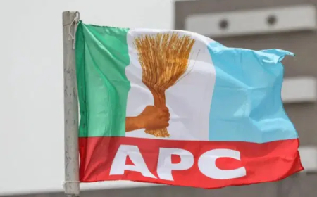 Former ANPP members give conditions to remain in APC