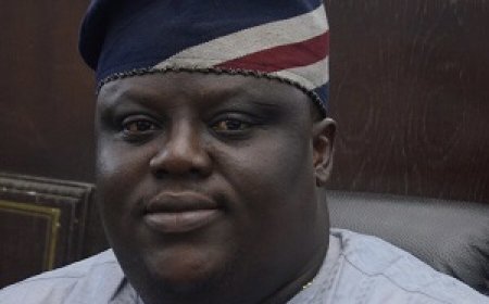 Lawmaker calls for calm after elephants killed one in Ogun community