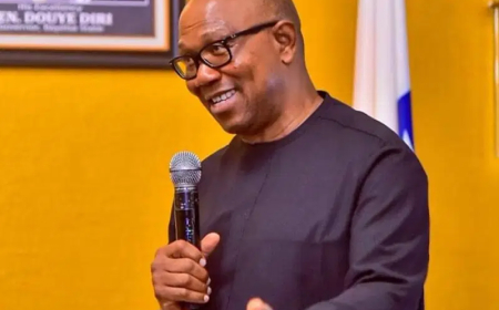 Nigeria’s debt may surpass N200trn by end of 2025, Peter Obi warns