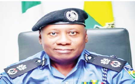 Fleeing armed robbery suspect arrested in Abia