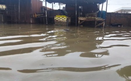 Eight buildings collapse as flood takes over Borno streets