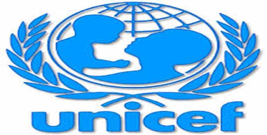 UNICEF engages Borno youths to vaccinate zero-dose children
