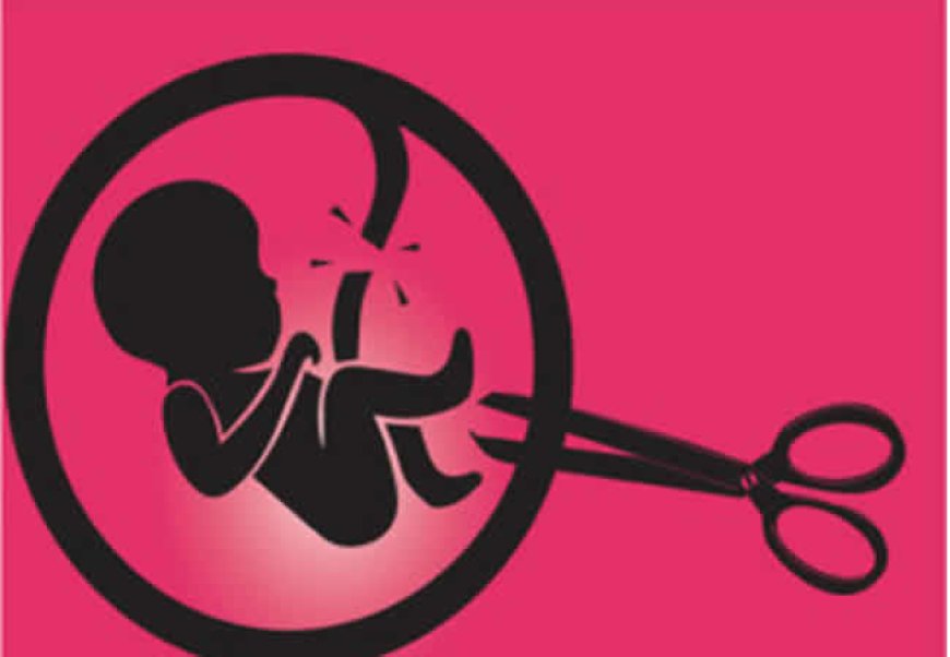 Stakeholders seek stronger policies to ending unsafe abortions, GBV