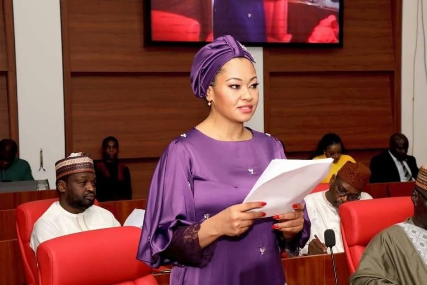 Senate gives conditions for Natasha’s return after court judgement