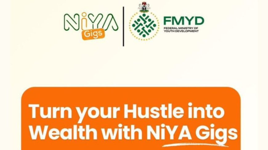 Federal Government NIYA Gigs Program For Young Nigerians 2025 | Step-by-Step Process