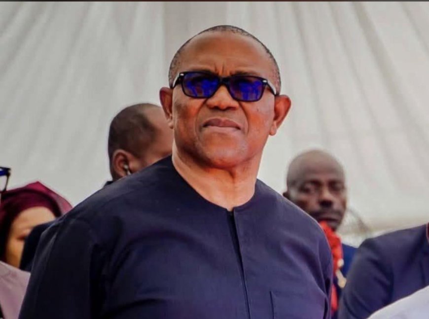 2027: I’ll run for president, not Atiku’s VP – Peter Obi