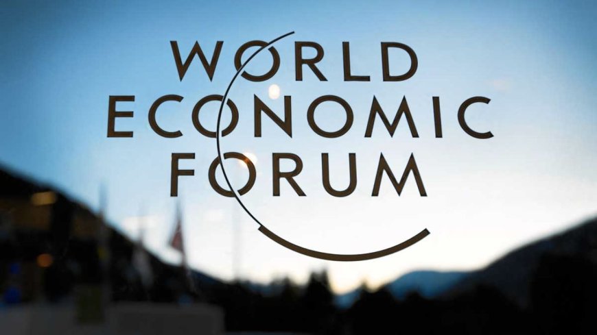 2025 World Economic Forum Early Career Program in USA | How to Apply