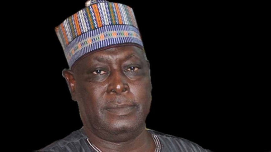 2027: Govs, APC leaders secretly backing opposition- Babachir Lawal