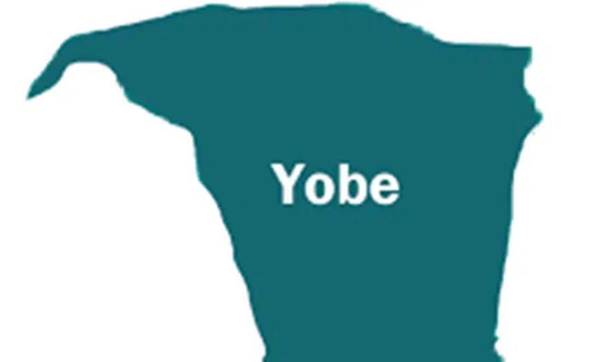 Yobe approves expansion of security outfit