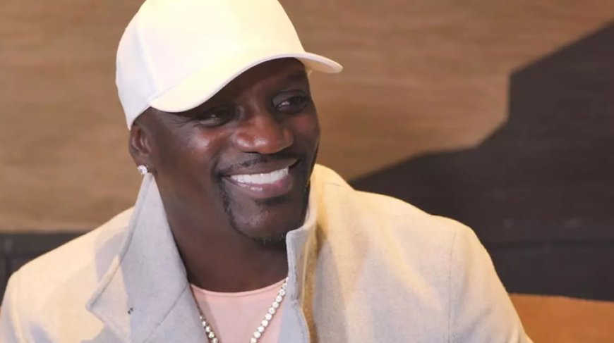 Senegal scraps Akon’s $6bn Wakanda-inspired city project