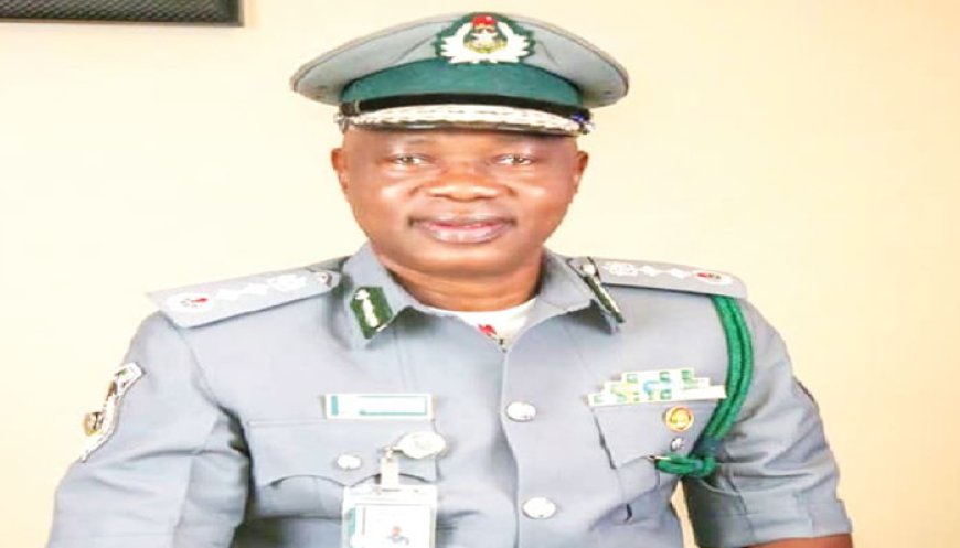 Customs intercept container of donkey genitals on Kaduna–Abuja road