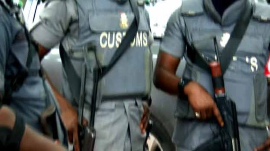 Customs foil donkey genitals smuggling, intercepts 40ft container
