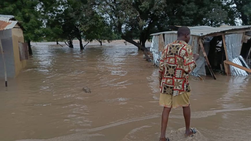 Blocked rail embankment caused Niger flood tragedy — NIRSAL