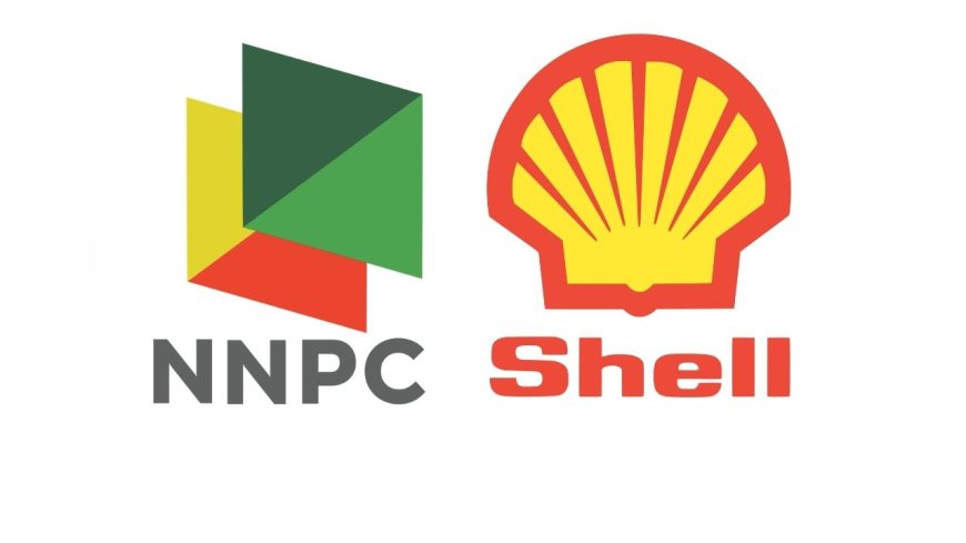 NNPC/SNEPCo Scholarship 2025 (₦250,000 Award) | Step-by-Step Process