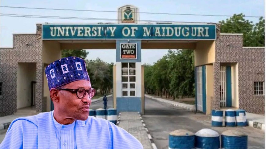 Why UNIMAID was renamed after Buhari- Education ministry