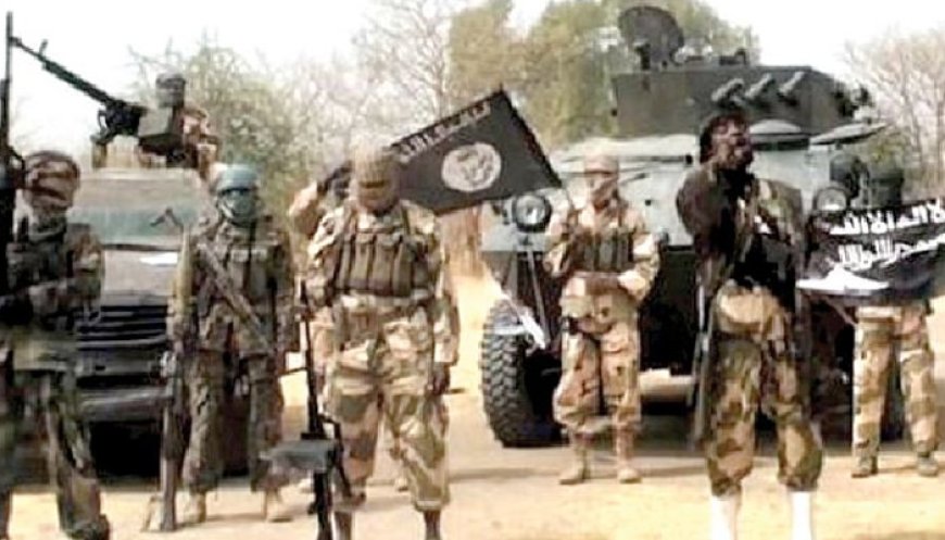 FG, states delay 130,000 forest guards’ recruitment amid rising killings