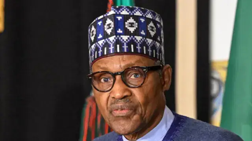 Buhari could have lived if treated at our facility — ABUAD Hospital’s CMD