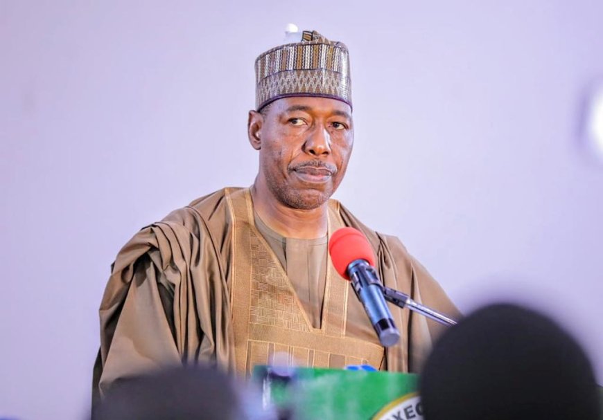 Overstaffing stalls N70,000 minimum wage in Borno