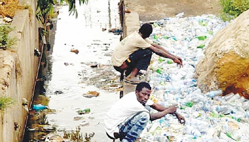 Gombe students urge govt to criminalise open defecation