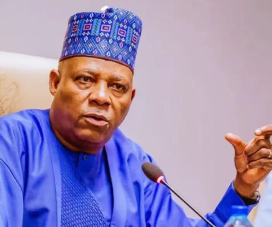 GDP rebasing: Shettima worried over information gap between NBS, states