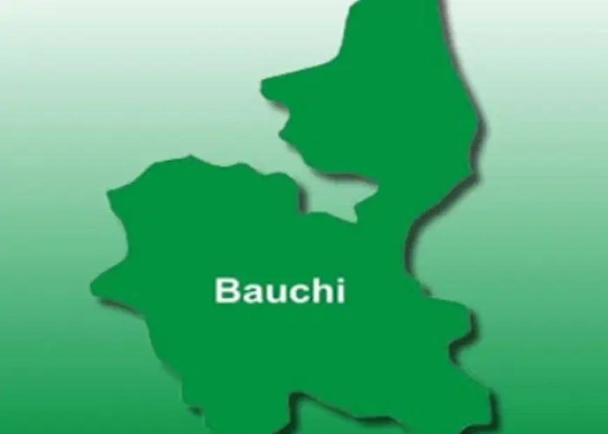 Bauchi Govt demotes school principal, 1 other for gross misconduct
