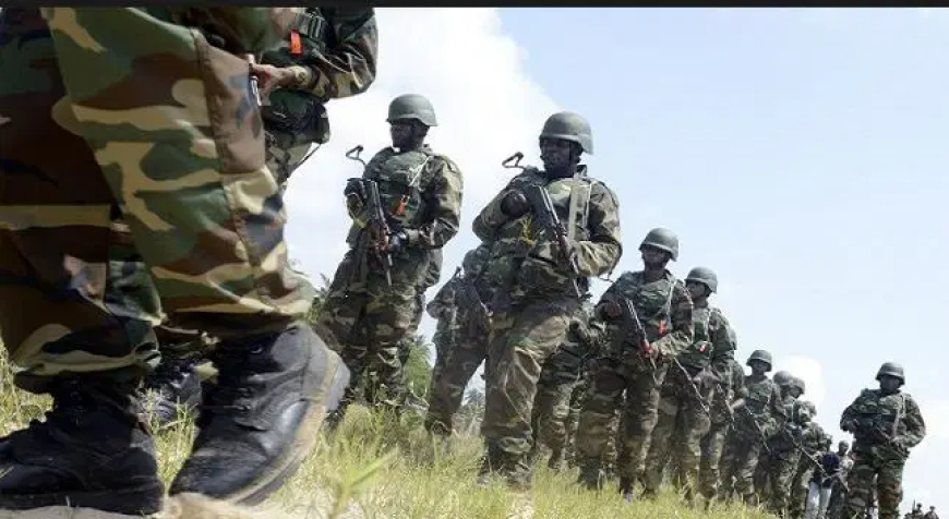 Army denies arresting Nigerien arms dealer in Zamfara