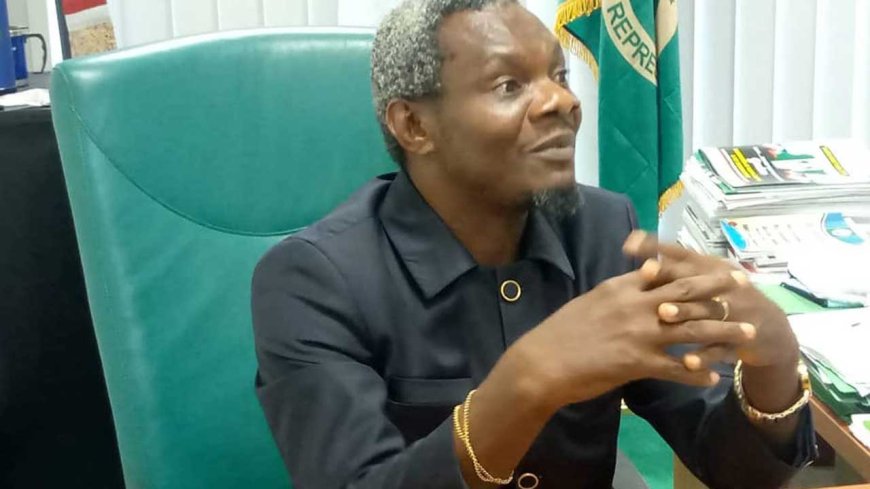 Upgrade correctional centres’ infrastructure, Reps C’ttee tells FG