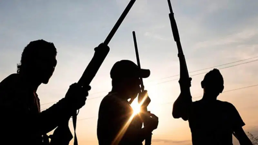 Many feared dead as gunmen attack Imo villages
