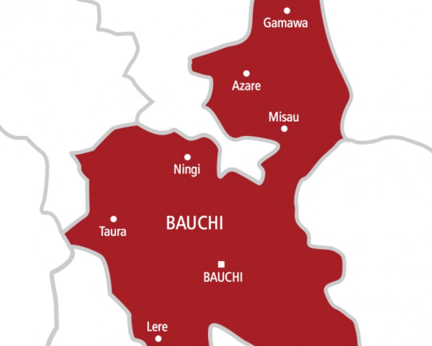 Police arrest man for motorcycle theft in Bauchi