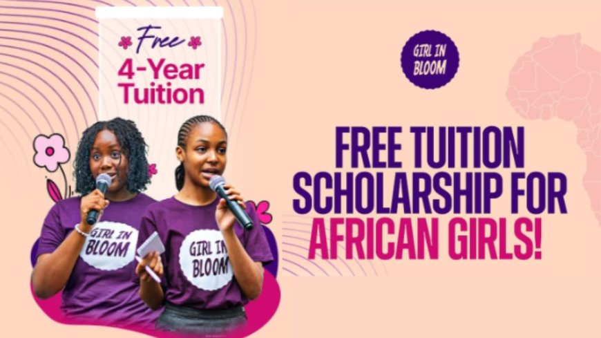 Bloom Scholars Program 2025 For Africans | $500 Award