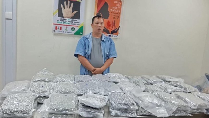 NDLEA arrests Chinese, 80-year-old grandma, others for drug peddling