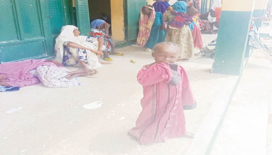 Family jam IDP camps as Adamawa floods kill 23