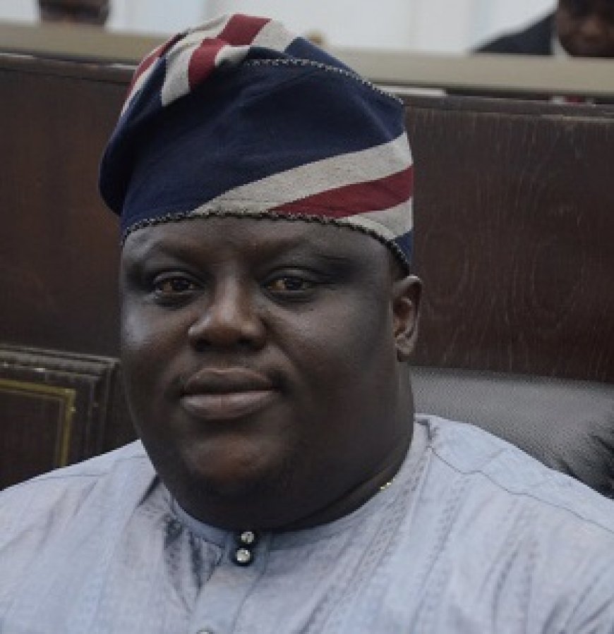 Lawmaker calls for calm after elephants killed one in Ogun community