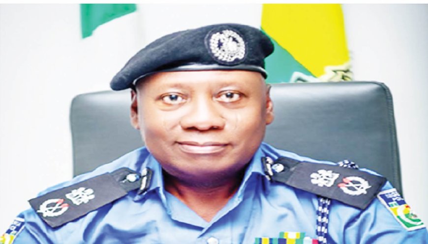 Fleeing armed robbery suspect arrested in Abia