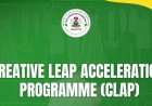 Federal Government Creative Leap Acceleration Program (CLAP) 2025