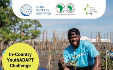 African Development Bank In-country YouthADAPT Challenge 2025