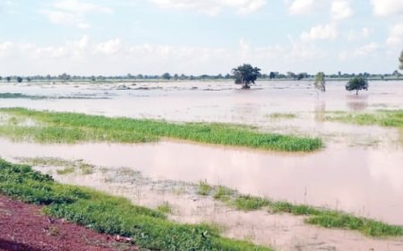 Flooding: FG directs four Niger LGs to relocate