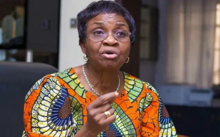 GMO foods are not bad for us – NAFDAC DG