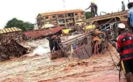 Heavy floods to hit 198 LGs in 31 states, FG warns