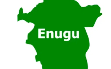 Taxation in Enugu within the law — Nnamani, ESIRS Chairman